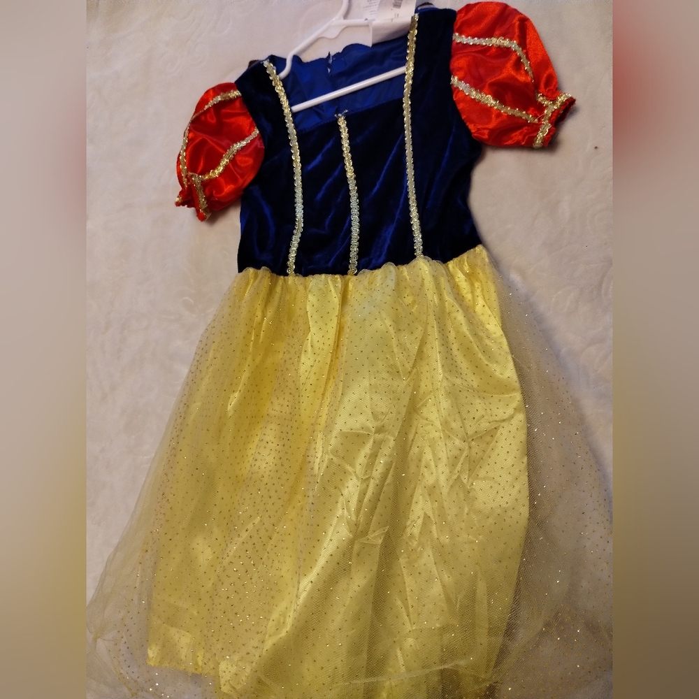 Rubie's Blue and Red Theater Costume with Velvet Bodice